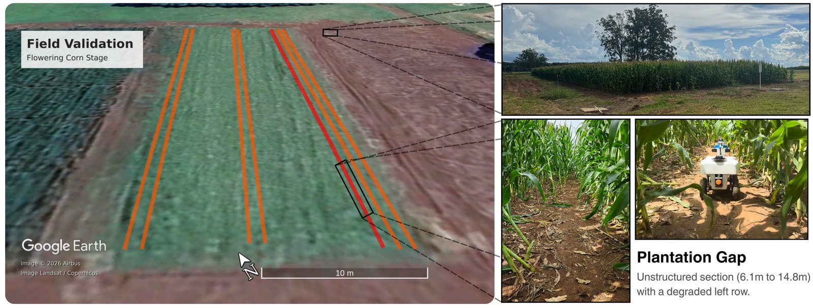 Aerial view of the experimental corn plantation and the plantation gap